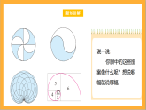 北师大版数学六上1.3《欣赏与设计》课件+教案