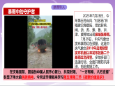 人教部编版道法九上5.2《凝聚价值追求》课件