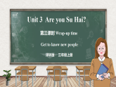 Unit 3 Are you Su Hai 第三课时 Wrap-up time（课件）-2024-2025学年译林版（三起）英语三年级上册