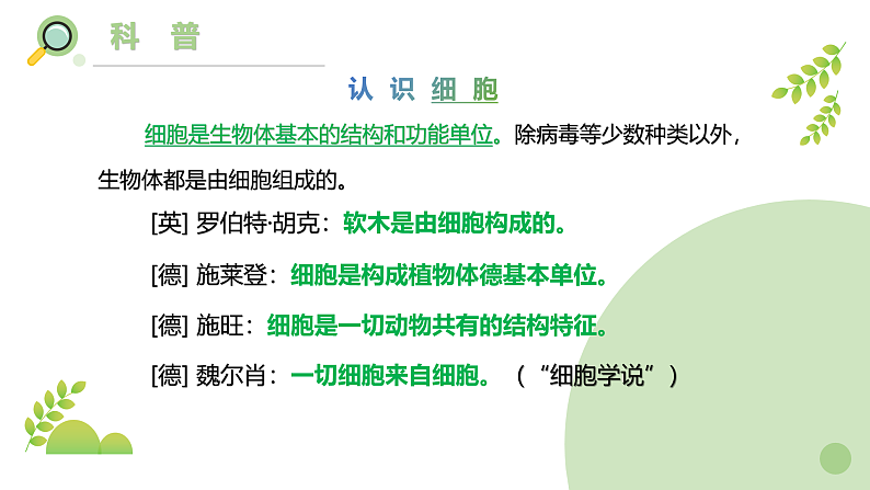 【核心素养】教科版科学六年级上册 1.4 观察洋葱表皮细胞（教学课件+同步教案）04