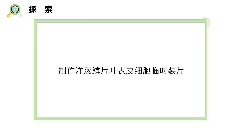 【核心素养】教科版科学六年级上册 1.4 观察洋葱表皮细胞（教学课件+同步教案）08