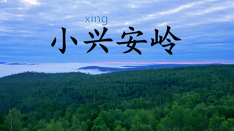 【任务型教学】统编版语文三上 20《美丽的小兴安岭》课件+教案+音视频素材02