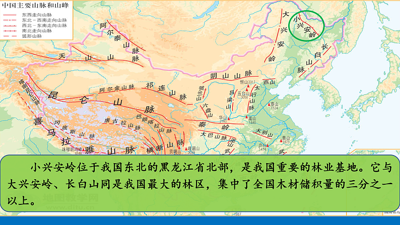 【任务型教学】统编版语文三上 20《美丽的小兴安岭》课件+教案+音视频素材03