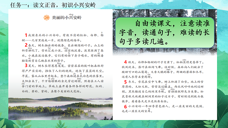 【任务型教学】统编版语文三上 20《美丽的小兴安岭》课件+教案+音视频素材06