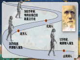 統(tǒng)編版（五四制）初中歷史 中國(guó)歷史第一冊(cè) 第1課 中國(guó)境內(nèi)早期人類(lèi)的代表—北京人  課件