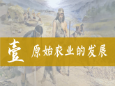 統(tǒng)編版（五四制）初中歷史 中國(guó)歷史第一冊(cè) 第2課 原始農(nóng)耕生活  課件