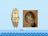 統(tǒng)編版（五四制）初中歷史 中國(guó)歷史第一冊(cè) 第21課 活動(dòng)課：讓我們共同來(lái)感受歷史 課件