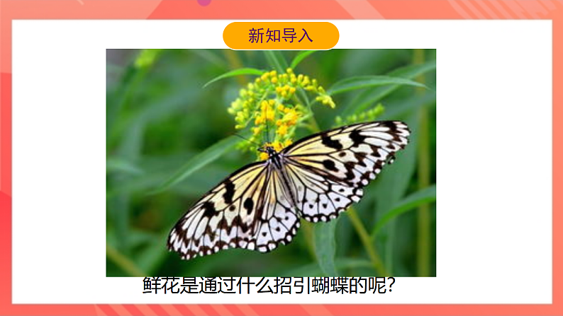 【新课标】北师大版物理九年级全册 10.2《内能（1）》课件+教案+学案06