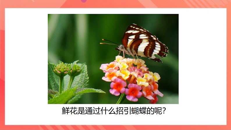 【新课标】北师大版物理九年级全册 10.2《内能（1）》课件+教案+学案07