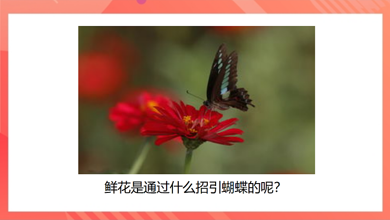 【新课标】北师大版物理九年级全册 10.2《内能（1）》课件+教案+学案08