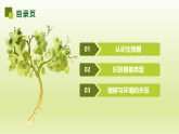 鲁教版2019高一地理 必修第一册 2.3+生物圈与植被（含2课时） 课件