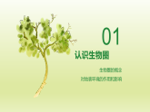 鲁教版2019高一地理 必修第一册 2.3+生物圈与植被（含2课时） 课件