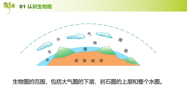 鲁教版2019高一地理 必修第一册 2.3+生物圈与植被（含2课时） 课件06