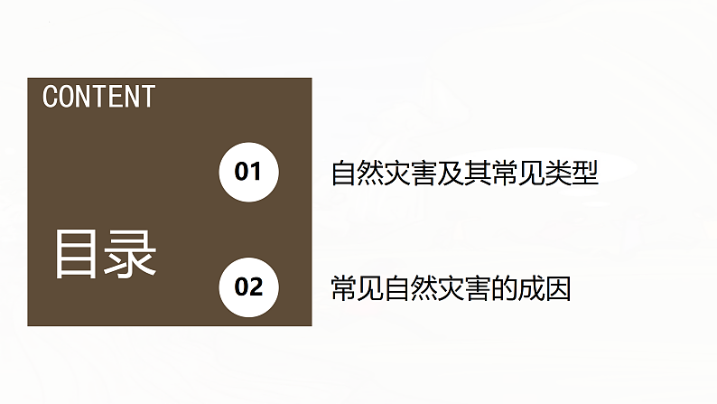 鲁教版2019高一地理 必修第一册 4.1 自然灾害的成因 课件04