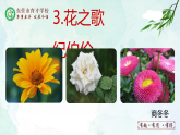 人教部编版（五四版）语文六上 3 花之歌 课件
