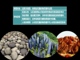 中图版2019高二地理选择性必修1 2.2岩石圈的物质组成及循环（ 课件）