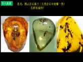 中图版2019高二地理选择性必修1 2.2岩石圈的物质组成及循环（ 课件）