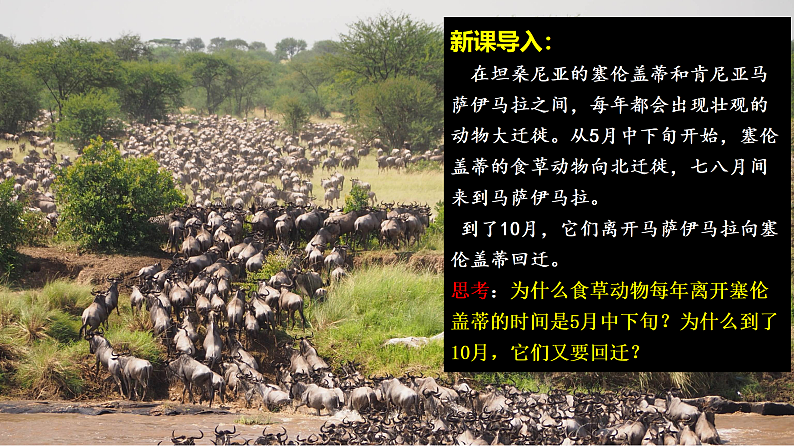 中图版2019高二地理选择性必修1 3.2气压带、风带对气候的影响（ 课件）05