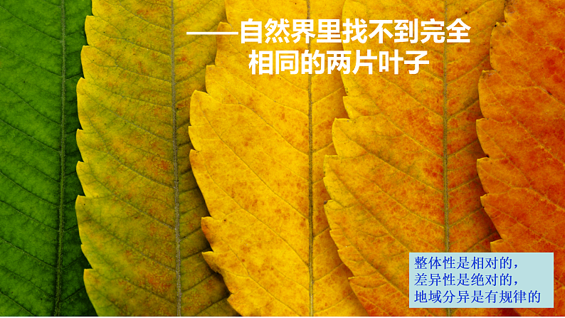 中图版2019高二地理选择性必修1 5.2自然地理环境的地域分异规律（ 课件）04