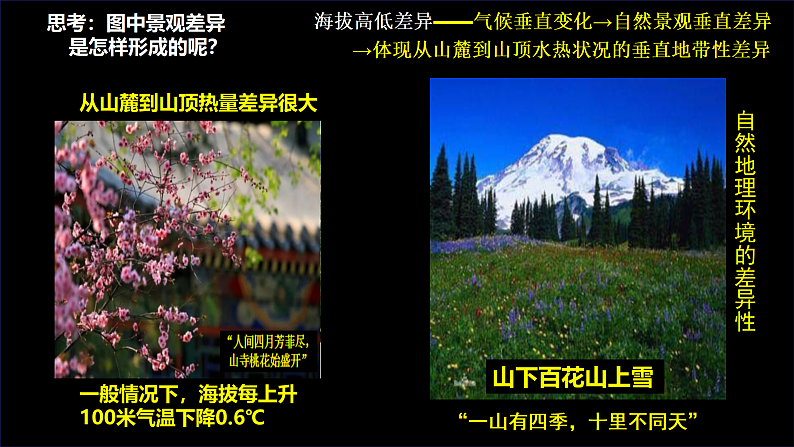 中图版2019高二地理选择性必修1 5.2自然地理环境的地域分异规律（ 课件）08