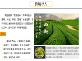 鲁教版2019高一地理必修第二册 3.1农业的区位选择 精品课件