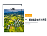 鲁教版2019高一地理必修第二册 3.1农业的区位选择 精品课件