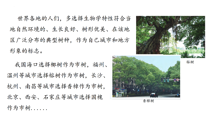 鲁教版2019高二地理选择性必修1 5.1 自然环境的差异性 课件01