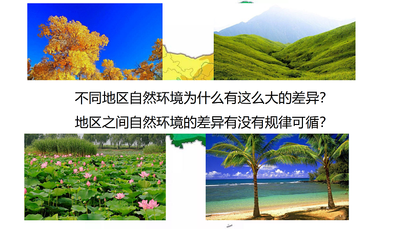 鲁教版2019高二地理选择性必修1 5.1 自然环境的差异性 课件06