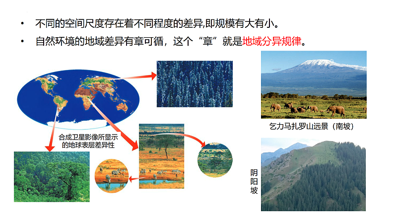 鲁教版2019高二地理选择性必修1 5.1 自然环境的差异性 课件08