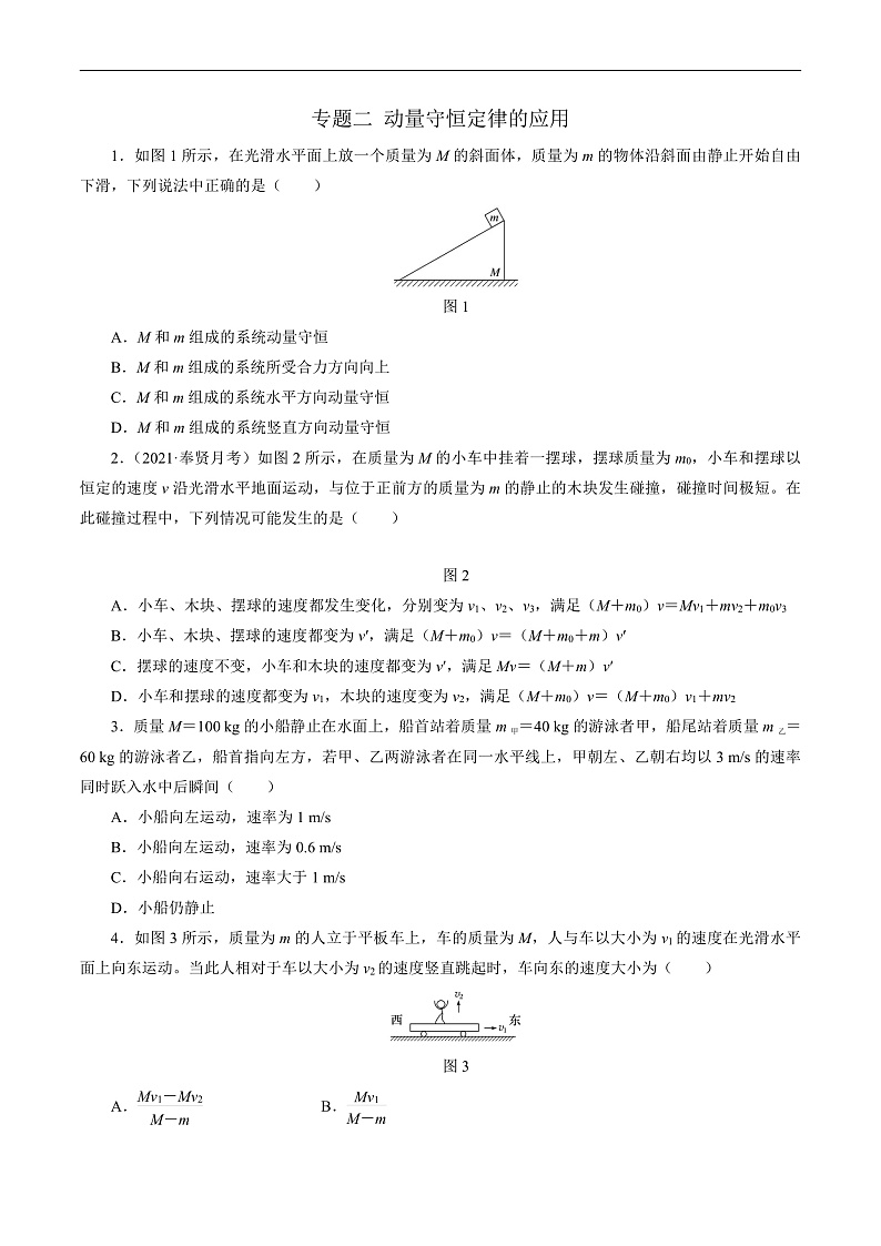 专题二 动量守恒定律的应用（原卷版）第1页