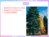 苏教版生物八上 5.14.1《五彩缤纷的植物世界》课件+学案+练习（原卷版+解析卷）
