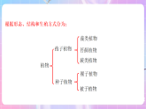苏教版生物八上 5.14.1《五彩缤纷的植物世界》课件+学案+练习（原卷版+解析卷）