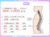 苏教版生物八上 5.14.2《千姿百态的动物世界（一）》课件+学案+练习（原卷版+解析卷）