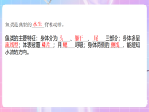 苏教版生物八上 5.14.2《千姿百态的动物世界（二）》课件+学案+练习（原卷版+解析卷）