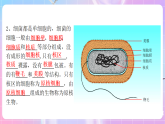 苏教版生物八上 5.14.3《神奇的微生物》课件+学案+练习（原卷版+解析卷）
