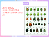 蘇教版生物八上 5.14.4《生物的分類》課件+學(xué)案+練習(xí)（原卷版+解析卷）