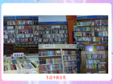 蘇教版生物八上 5.14.4《生物的分類》課件+學(xué)案+練習(xí)（原卷版+解析卷）