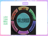 蘇教版生物八上 5.16.1《生命的誕生》課件+學(xué)案+練習(xí)（原卷版+解析卷）
