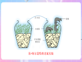 蘇教版生物八上 5.16.1《生命的誕生》課件+學(xué)案+練習(xí)（原卷版+解析卷）