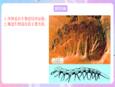 蘇教版生物八上 5.16.2《生物進(jìn)化的歷程》課件+學(xué)案+練習(xí)（原卷版+解析卷）