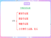 蘇教版生物八上 5.16.2《生物進(jìn)化的歷程》課件+學(xué)案+練習(xí)（原卷版+解析卷）