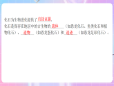 蘇教版生物八上 5.16.2《生物進(jìn)化的歷程》課件+學(xué)案+練習(xí)（原卷版+解析卷）