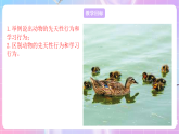 蘇教版生物八上 6.18.2《動(dòng)物行為的生理基礎(chǔ)》課件+學(xué)案+練習(xí)（原卷版+解析卷）