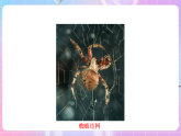 蘇教版生物八上 6.18.2《動(dòng)物行為的生理基礎(chǔ)》課件+學(xué)案+練習(xí)（原卷版+解析卷）