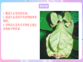 苏教版生物八上 7.19.1《生态系统的组成》课件+学案+练习（原卷版+解析卷）
