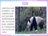苏教版生物八上 7.19.1《生态系统的组成》课件+学案+练习（原卷版+解析卷）