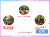 苏教版生物八上 7.19.1《生态系统的组成》课件+学案+练习（原卷版+解析卷）