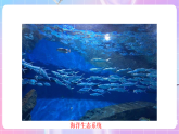 蘇教版生物八上 7.20.1《生物圈中的各種生態(tài)系統(tǒng)》課件+學(xué)案+練習(xí)（原卷版+解析卷）