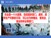 商务星球版八年级上册  4.1 因地制宜发展农业  课件