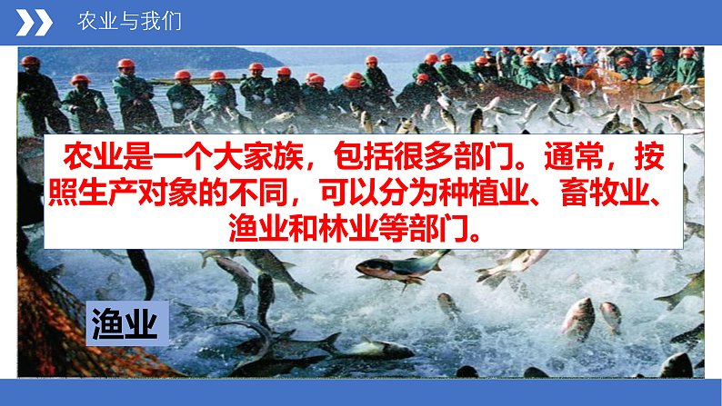 商务星球版八年级上册  4.1 因地制宜发展农业  课件03